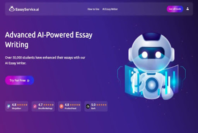 essayservice.ai interface