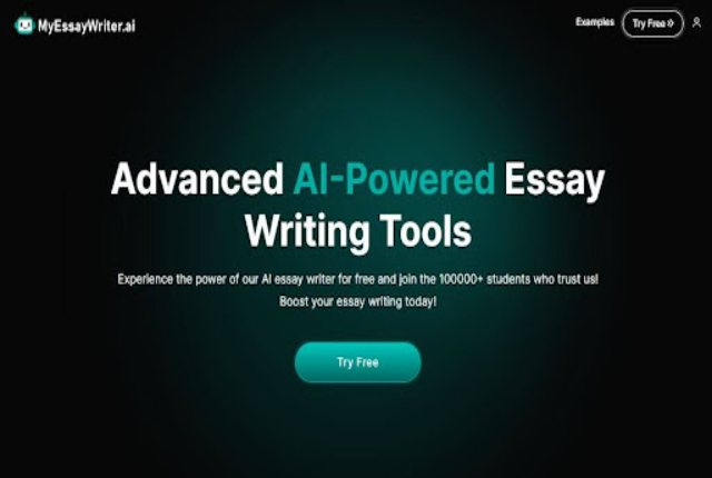 myessaywriter.ai interface