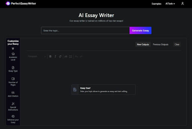 perfectessaywriter.ai